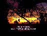 Sunset Video