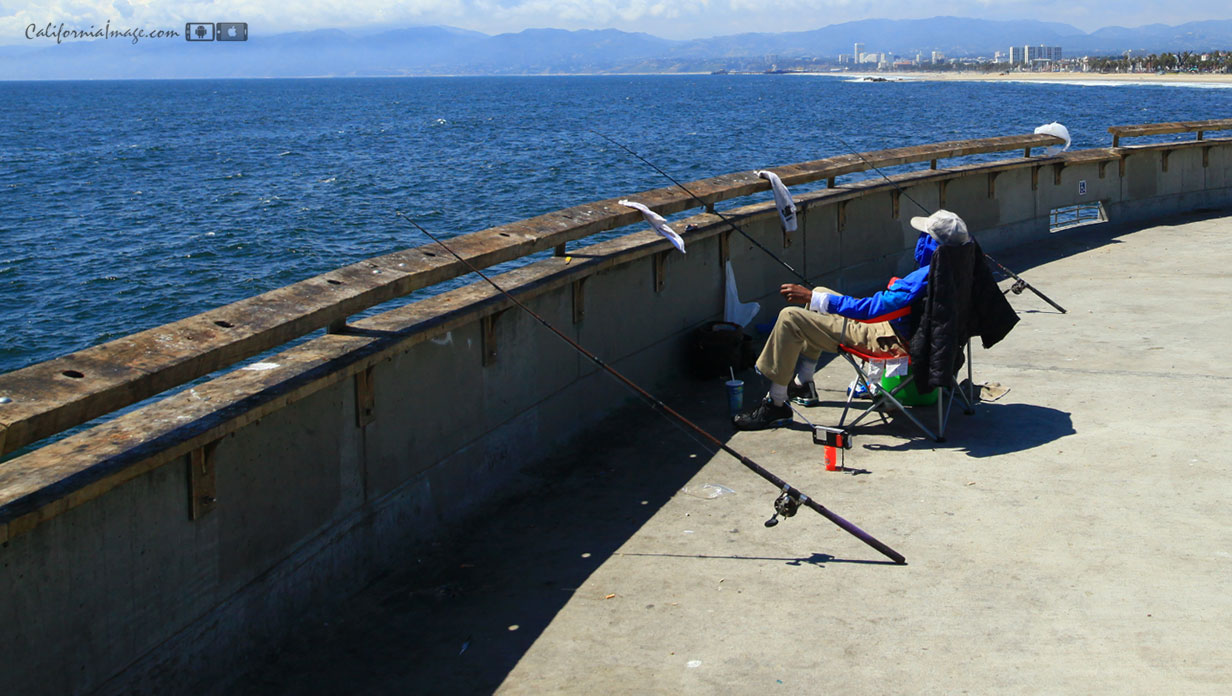 Daytime Fishing