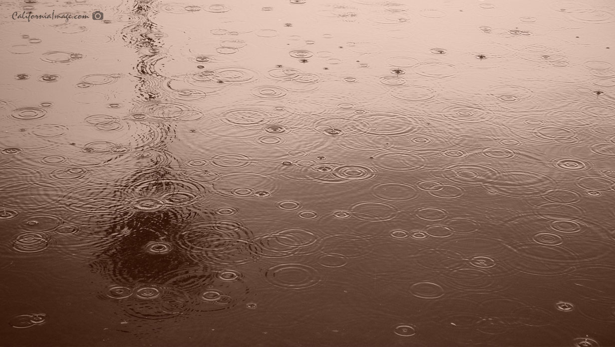 Raindrops Circles