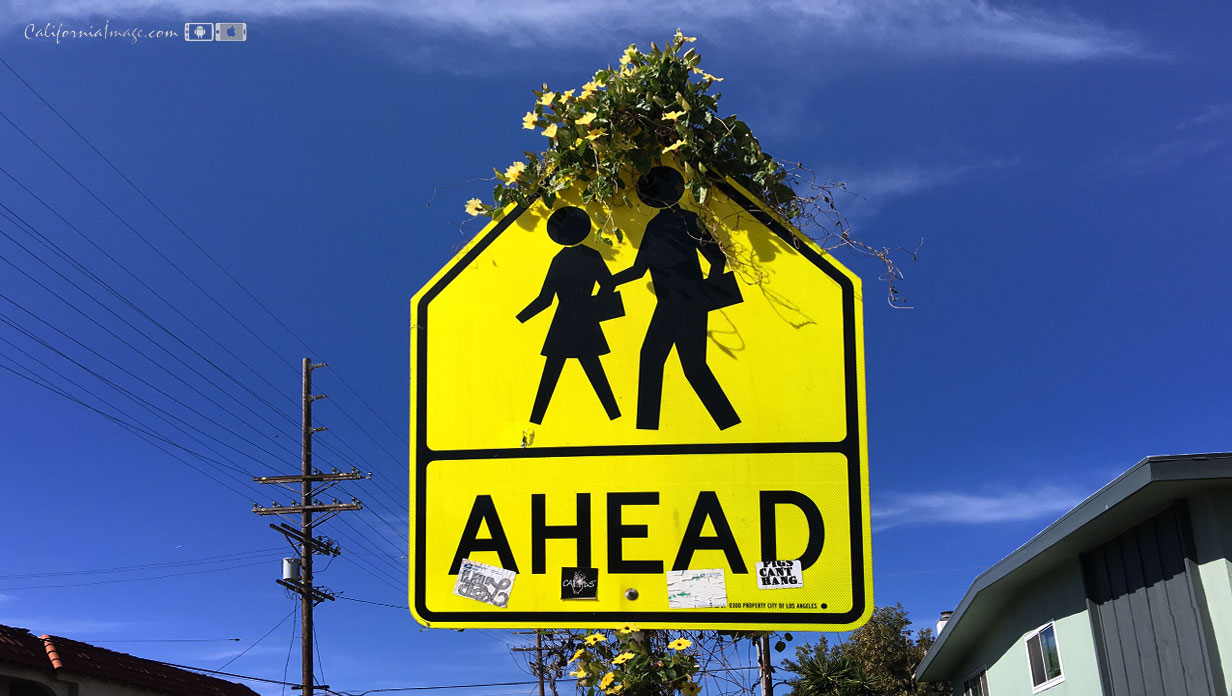 Ahead Street Sign