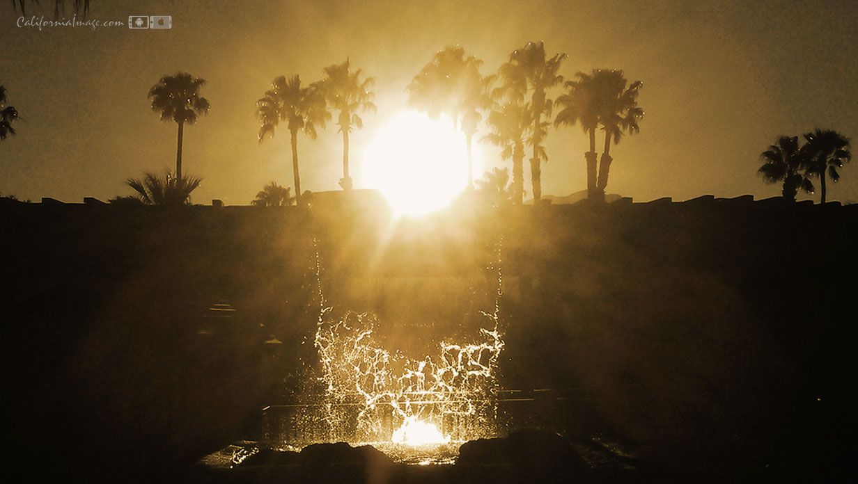 Desert Water Oasis