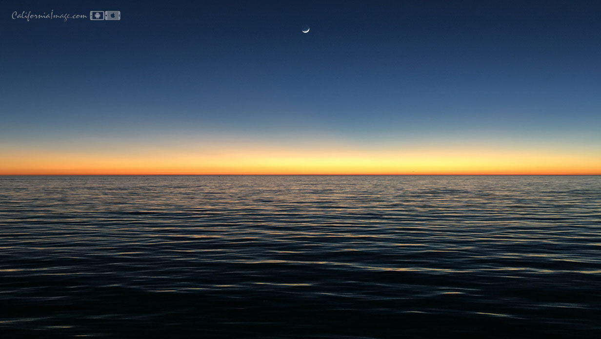 Young Moon Pacific