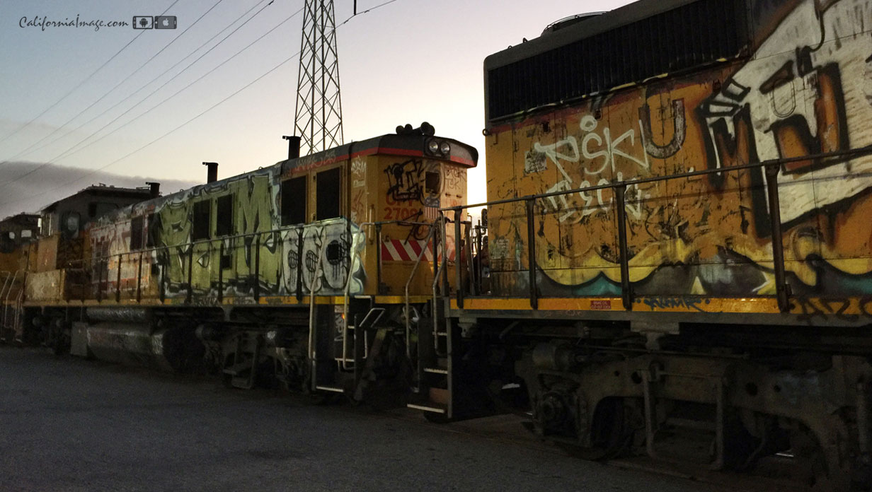 Graffiti Covered Trains