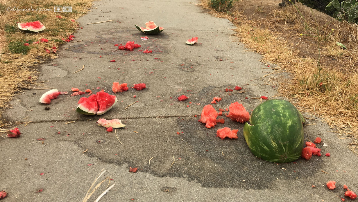 Smashed Watermelon