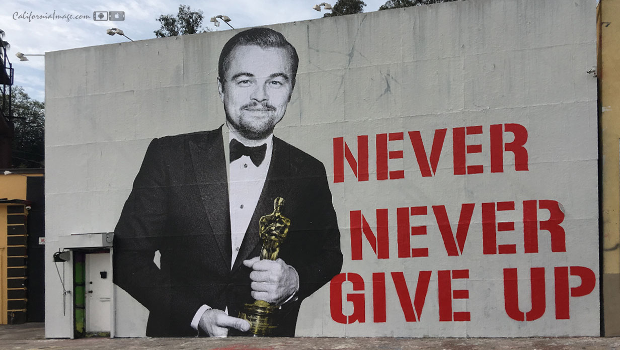 Never Never Give Up