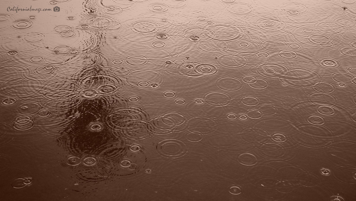 Raindrops On Water