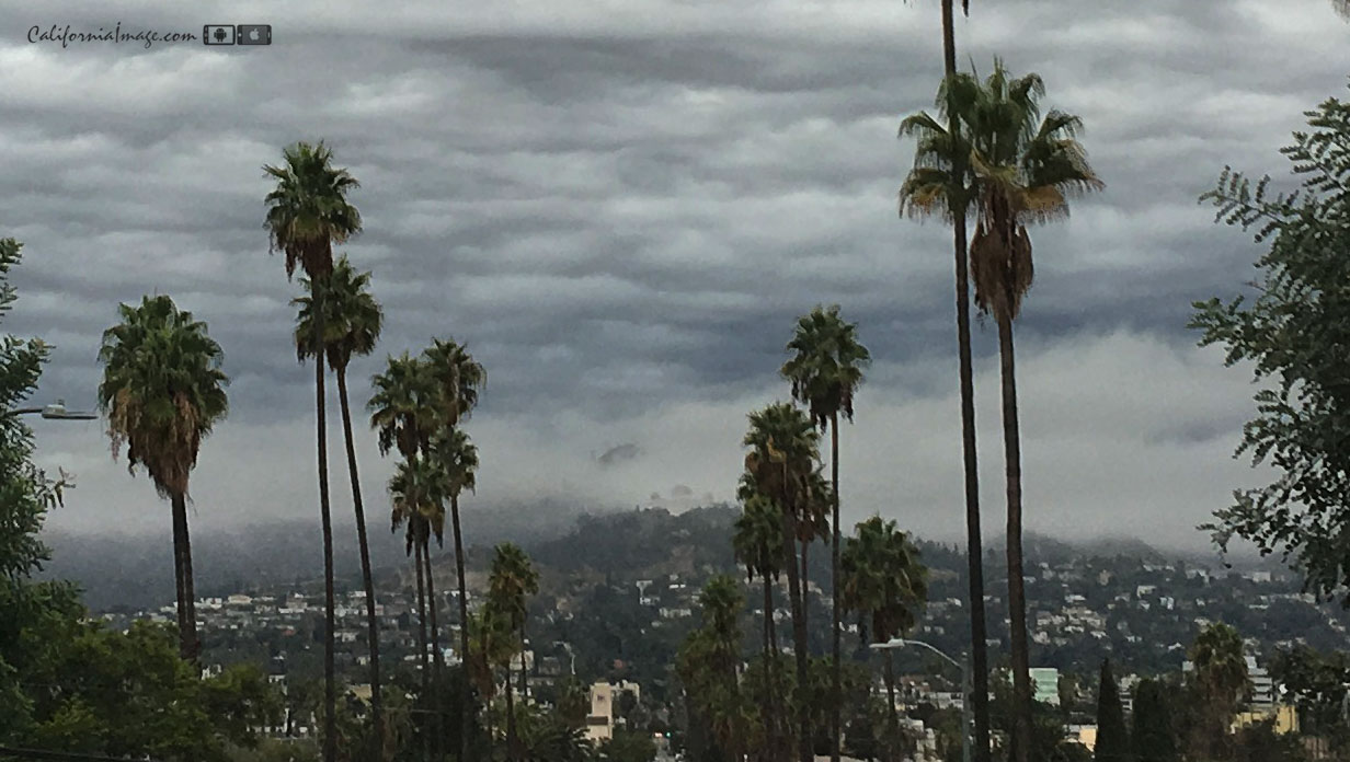 Rain Cloud Hollywood Hills
