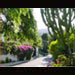 Hillside Neighborhood