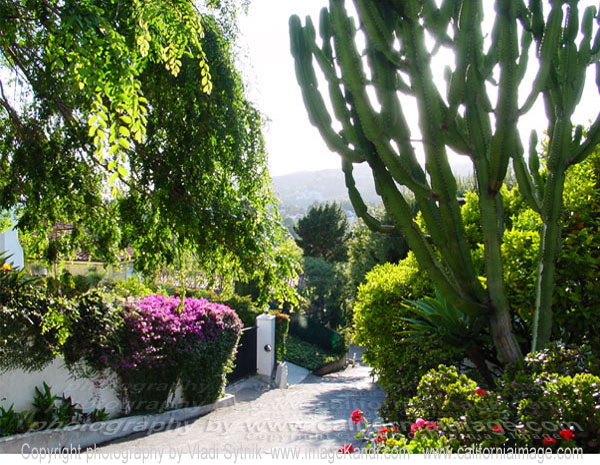 Hillside Neighborhood. Hollywood 