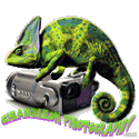 Chameleon Photography