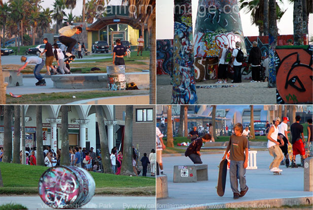 Venice Beach Skate Park