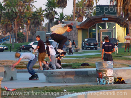 Venice Beach Skaters