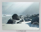 See Larger Image