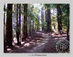 See Larger Image