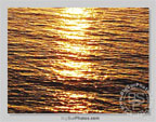 See Larger Image