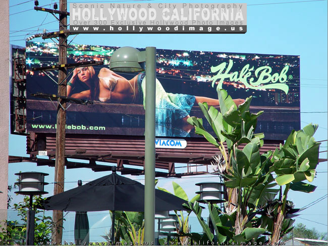 Hollywood-City-billboards-1