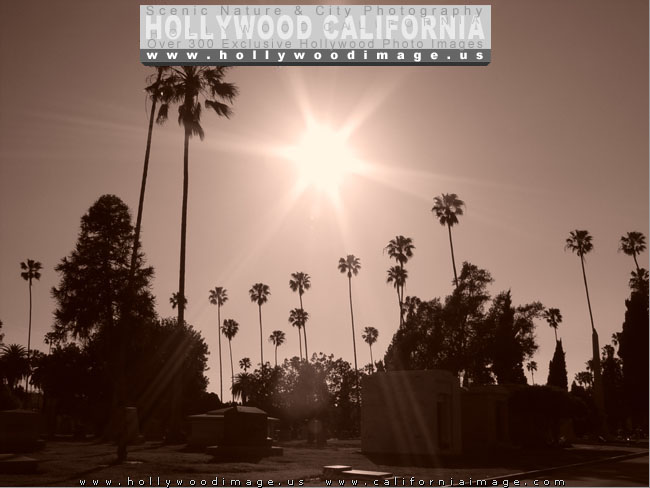 Hollywood-Forever-Cemetery-10