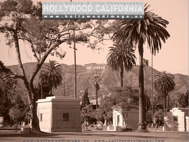 Hollywood-Forever-Cemetery-4