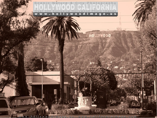 Hollywood-Forever-Cemetery-5