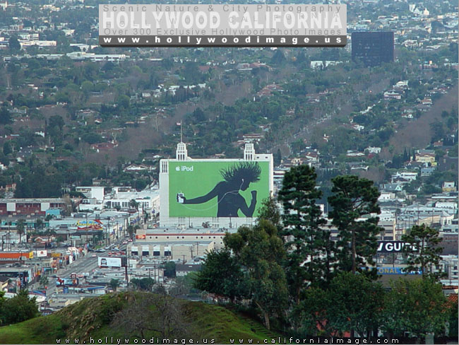 Hollywood-Hills-city-view-2