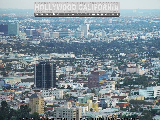 Hollywood-Hills-city-view-3