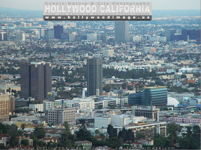 Hollywood-Hills-city-view-4