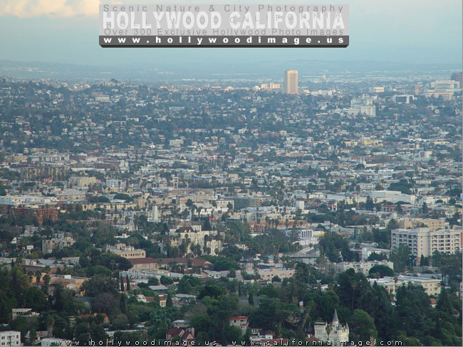 Hollywood-Hills-city-view-5