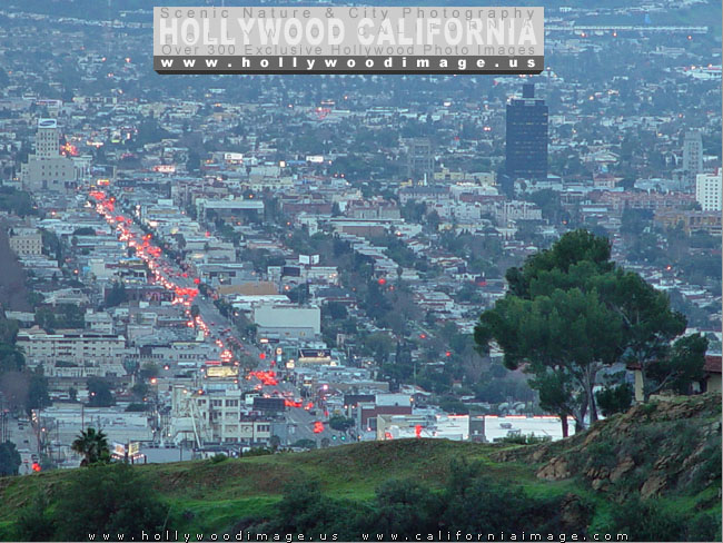 Hollywood-Hills-city-view-6