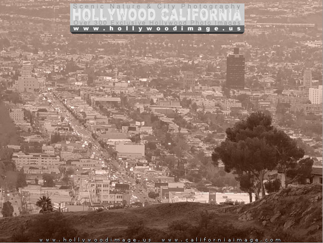 Hollywood-Hills-city-view-7