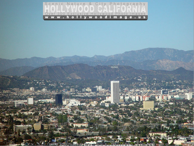 Hollywood