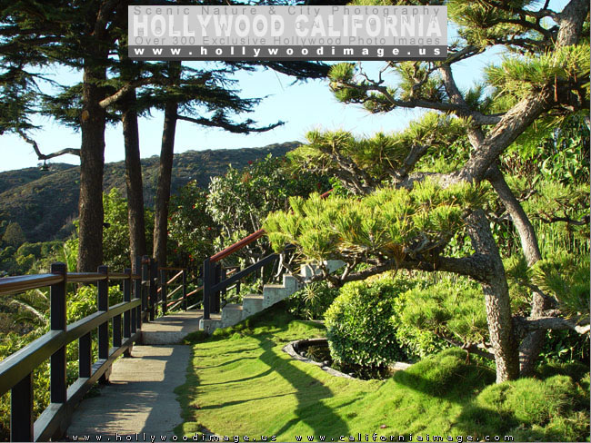 Hollywood-hills-Yamashiro-park
