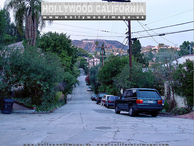 Hollywood-hills-street-1