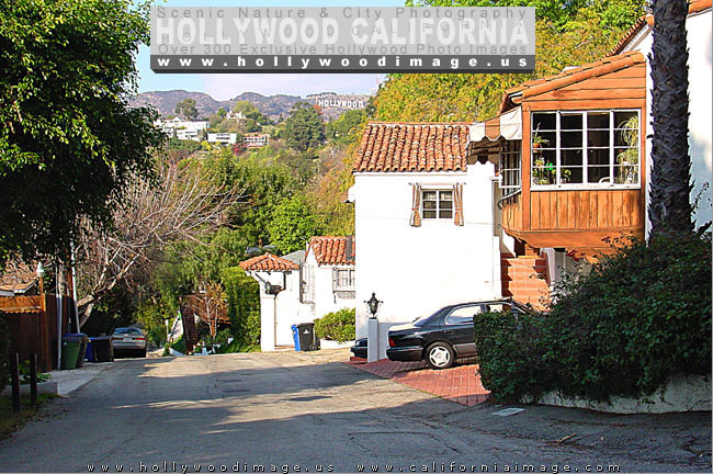 Hollywood-hills-street-2