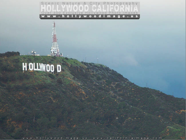 Hollywood-sign-13