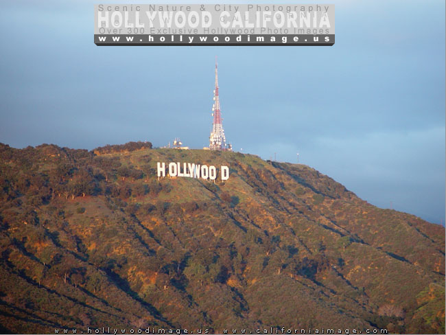 Hollywood-sign-17