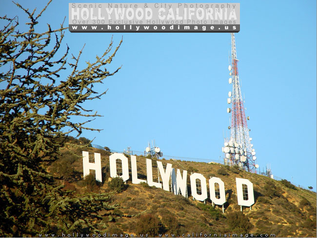 Hollywood-sign-21