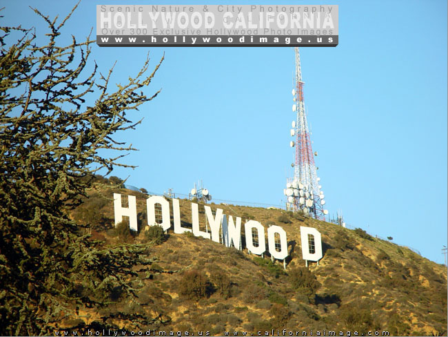 Hollywood-sign-22