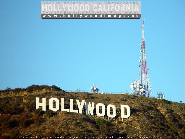 Hollywood-sign-23