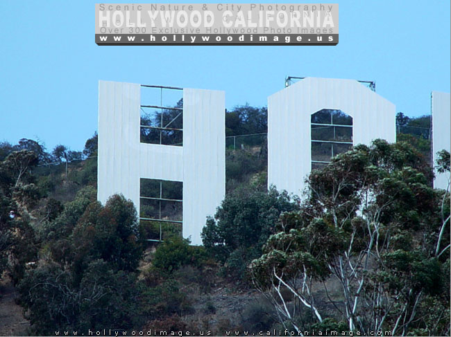 Hollywood-sign-letters
