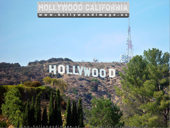 Hollywood-sign