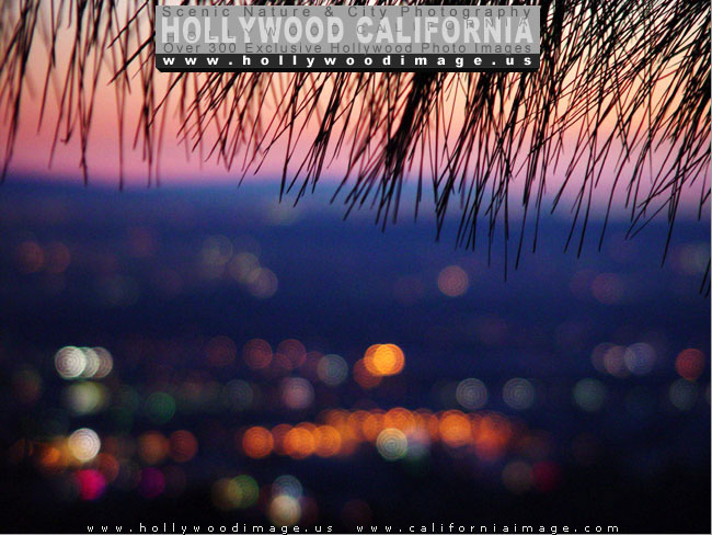 Hollywood-Night-Lights