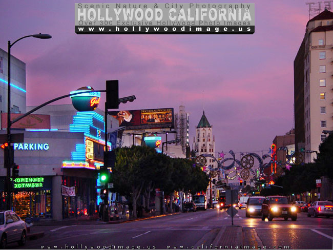 Hollywood-Night-Lights