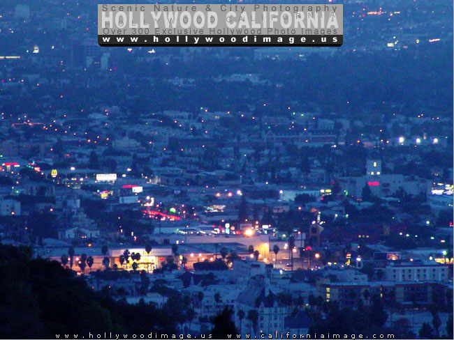 Hollywood-Night-Lights