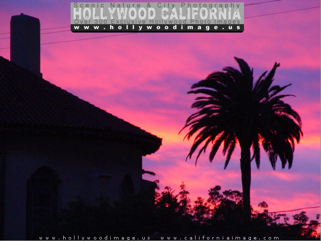 Hollywood-church-sunset-6