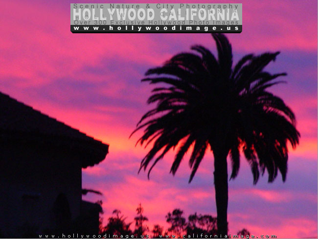 Hollywood-church-sunset-7