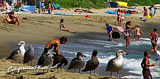 People and Birds