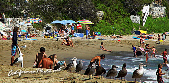 People and Birds