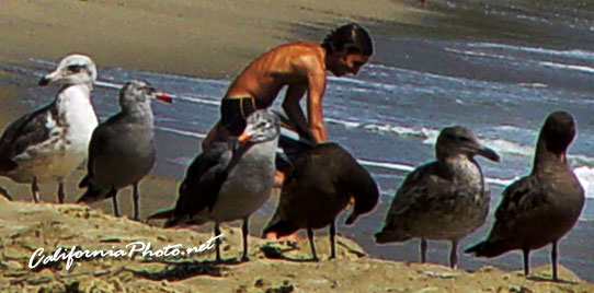 People and Birds