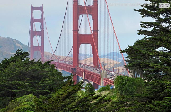 golden-gate-bridge