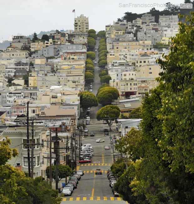 lombard-street-san-francisco